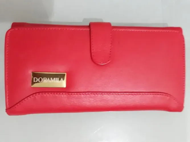Carteira feminina nova -