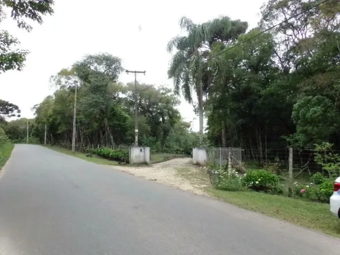 Chácara com 3 dormitórios para alugar, 31419 m² por R$ 3.800,00/mês - Roseira - Colombo/PR