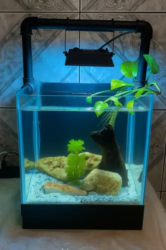 Aquário 30 x 30 x 30