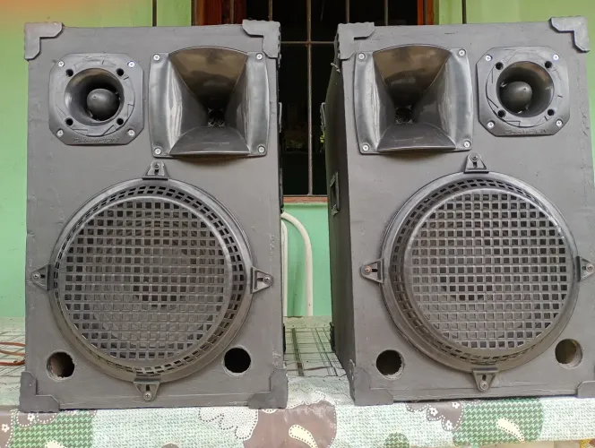 Caixas de som 10 polegadas 