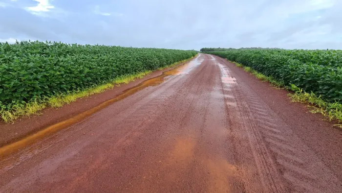Fazenda de arrendamento Pará, 3.500hec plantando mais 2.000 hec em pasto, vale do araguia