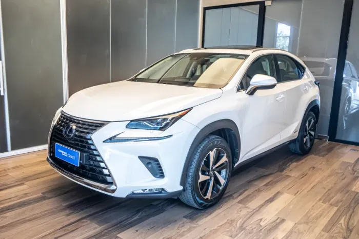 Lexus NX-300 H Luxury 2.5 16V Aut. 2021