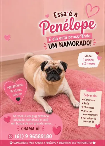 Procurasse um namorado pra Penélope!