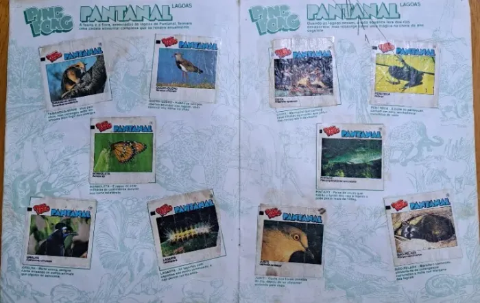 RARO ÁLBUM PING PONG PANTANAL - PRATICAMENTE COMPLETO - FIGURINHAS ORIGINAIS DA ÉPOCA