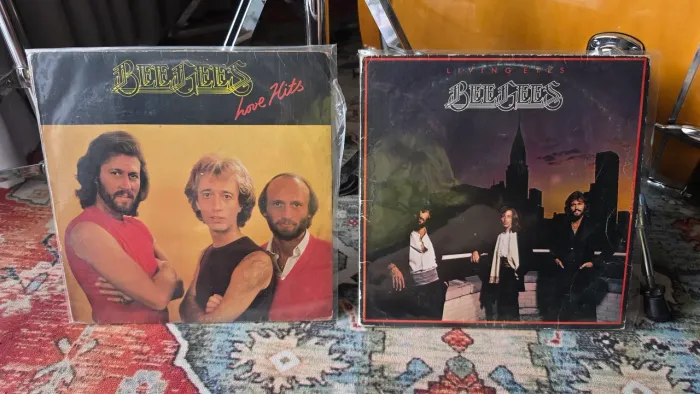 Discos de vinil (LPs) Bee Gees - Love hits e Lívia Eyes