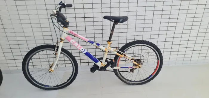 Bicicleta