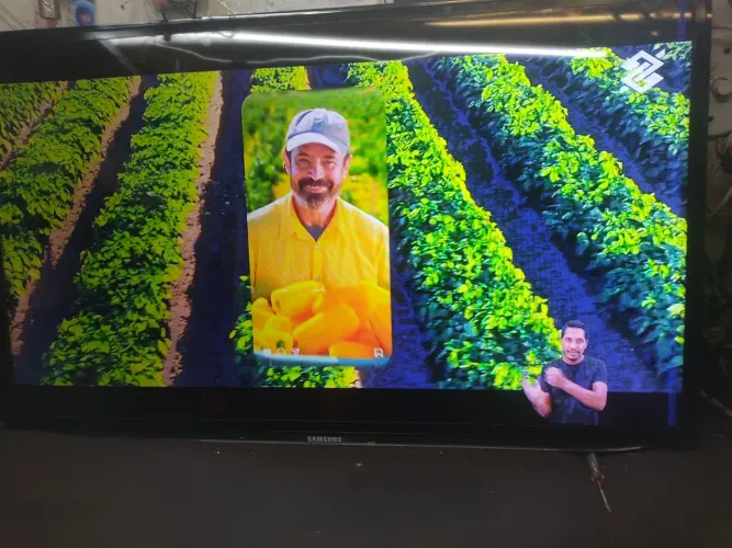 TV Samsung 40 polegadas digital HDMI