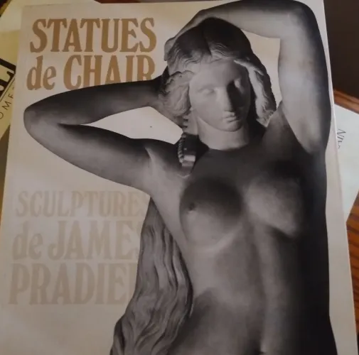 Livro Statues de Chair