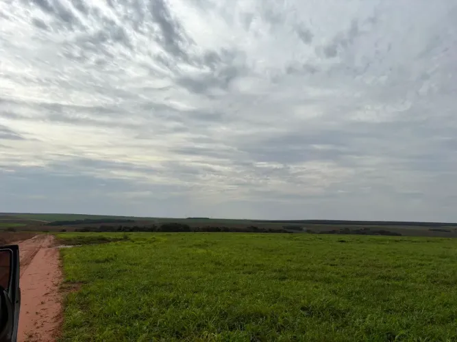 Fazenda com 1.169 Hectares a venda em Jaraguari - MS