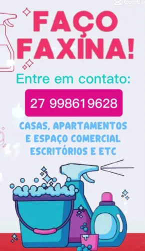 Faxina