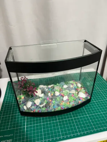 Aquário já com pedras e decoração