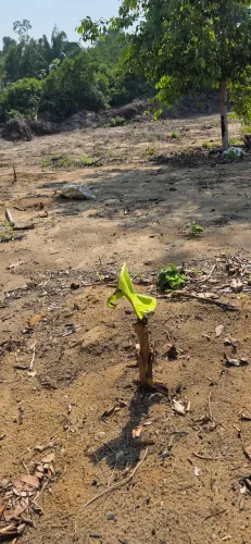 Vendo ou troco ,estrada de novo airão km17