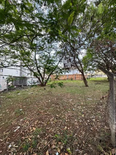 Terreno Residencial à venda no Bairro Castelo, Belo Horizonte (1037 m²)
