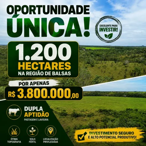 Oferta imperdível área total 1.200 hectares apenas 3.800.000,00