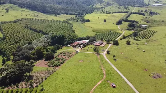Vendo Fazenda à venda em Goiânia tendo 73 alqueires (353,32 Hectares)