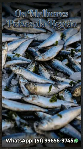? PEIXE FRESQUINHO E DE QUALIDADE! ?
