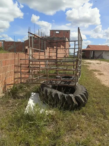 Gaiola boiadeira   para D20