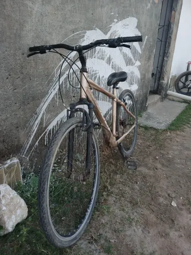 Bike aro 29