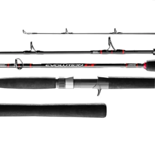 Vara de pesca Marine Sports Evolution GT de 1,83m, MS-C601H 6 Nylon 20-60Lb