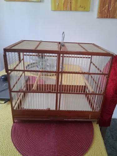 Voador de 40 cm