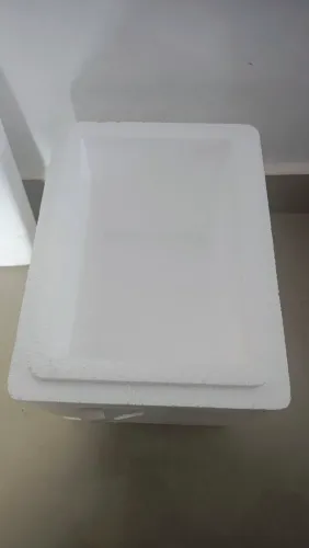 Caixa isopor 9L