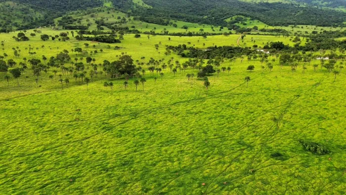 Fazenda de 49 alq em Córrego do Ouro-Go