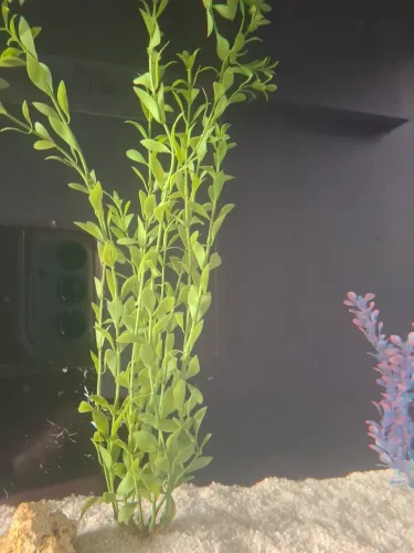 Plantas artificiais aquário Tetra