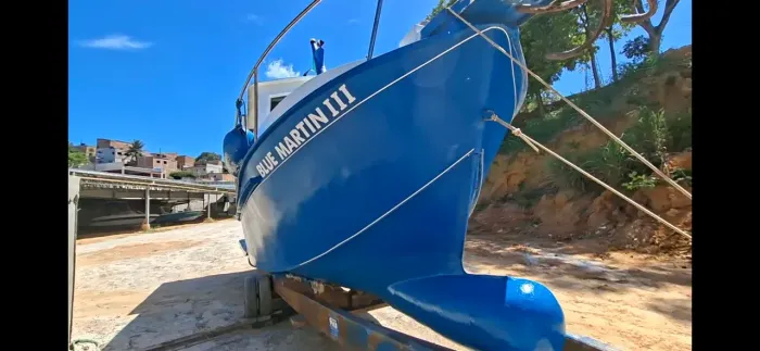 Trawler 30pes golfinho