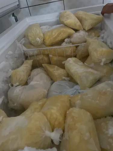 Vendo poupa de cupuaçu 