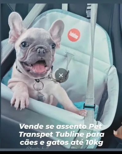 Cadeirinha pra cachorro