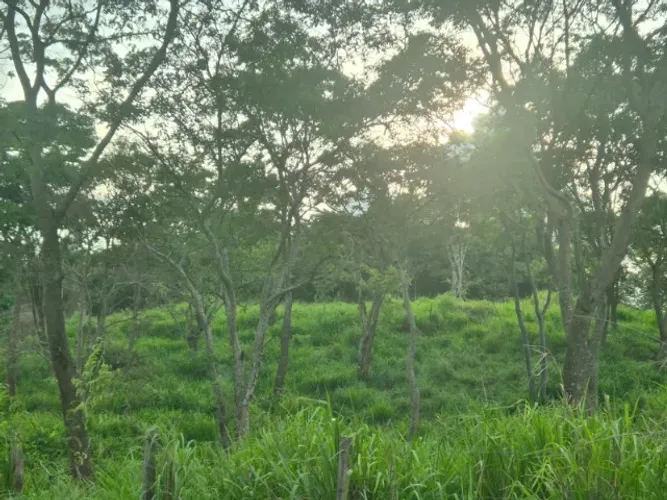 Chácara encantadora em Anápolis