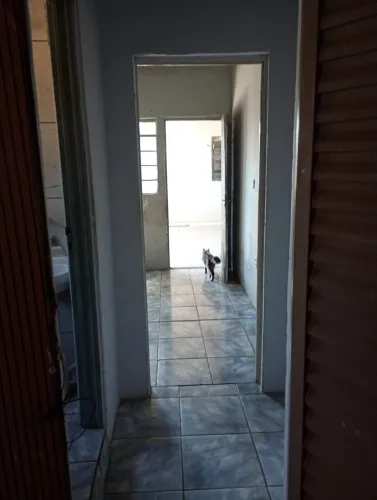 Alugo kitnet direto comigo