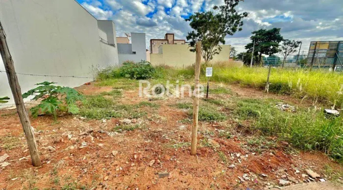 Terreno à venda, Santa Mônica - Uberlândia/MG - Rotina Imobiliária