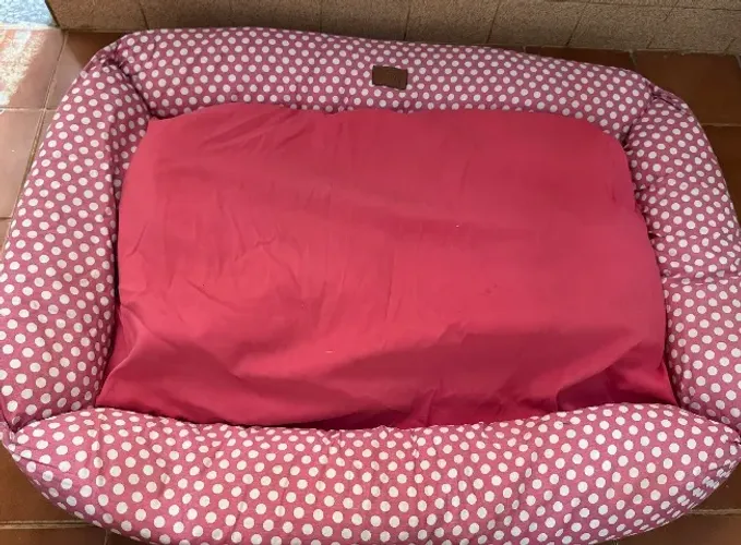 Cama XXG FÁBRICA PET VERMELHA com bolinhas brancas (Usada mas em bom estado) Possui z