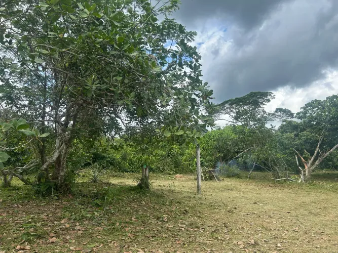 Vendo terreno no paricatuba medida 20x42 valor está muito barato 35 mil a vista
