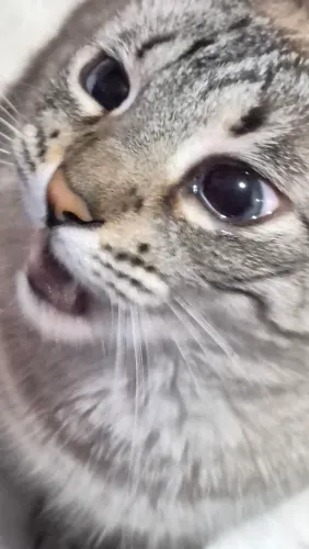 Samsung Galaxy Tab A7