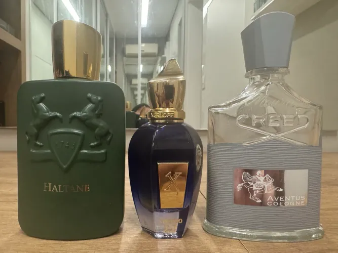 Perfume Torino 22