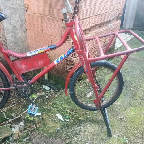 Bicicleta de carga