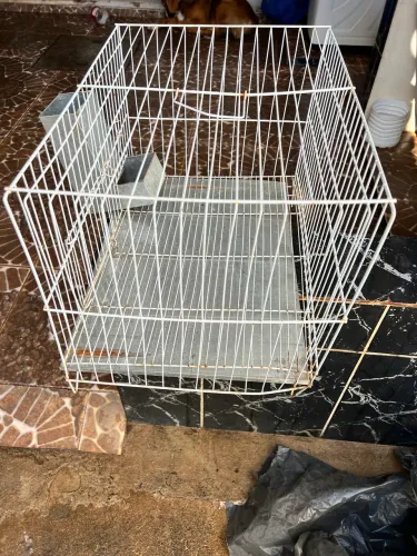 Gaiola de pássaros e hamster