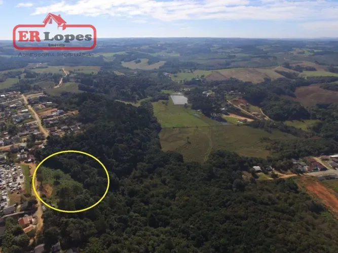 Área à venda, 35733 m² por R$ 790.000,00 - Centro - Quitandinha/PR
