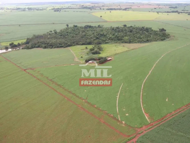 Fazenda 23,67 Alqueires (114,56 hectares) Quirinópolis - GO