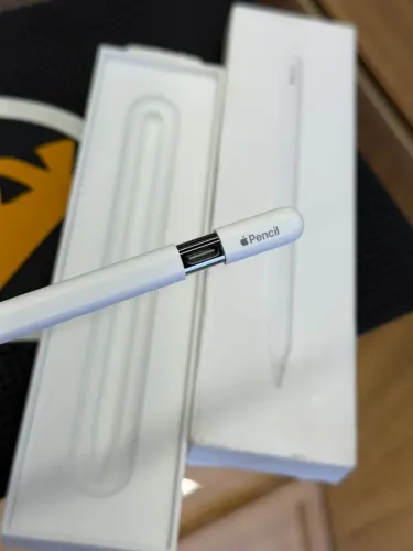 Apple Pencil USB-C Original Seminovo