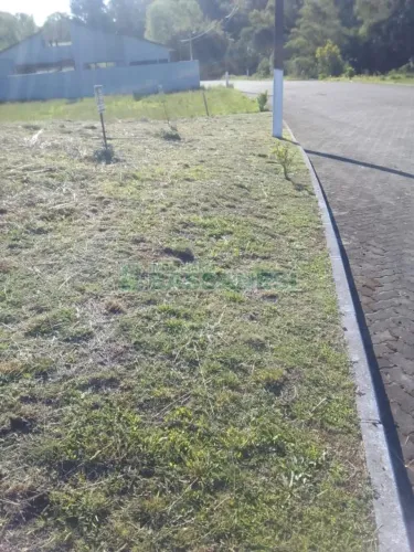 Terreno Centro Garibaldi