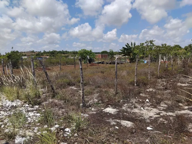 Lote próximo trevo do jatoba 10 por 20