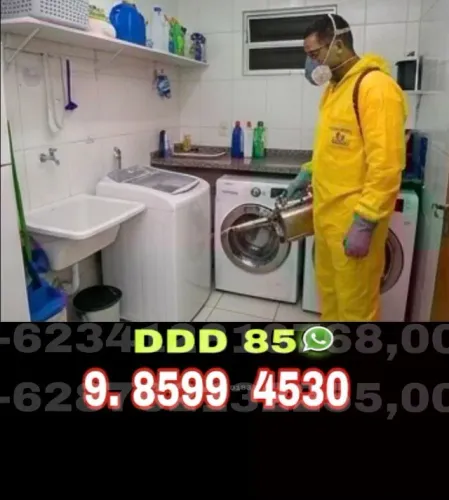Dedetização Especializada para Casas, Empresas e Condomínios