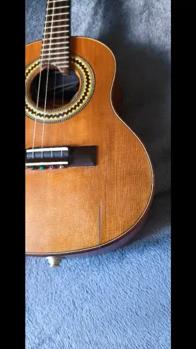 Cavaquinho contemporânea 