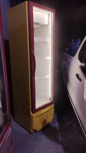 Freezer Expositor