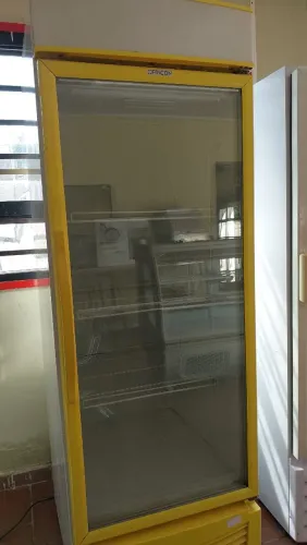 Freezer expositor Fricon de congelamento