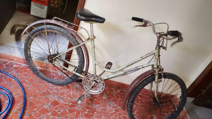 Bicicleta Ipanema