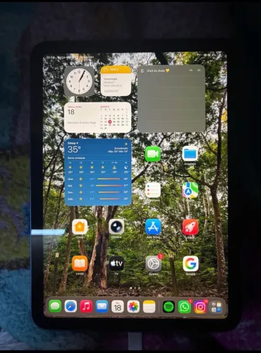 iPad 10° geração 